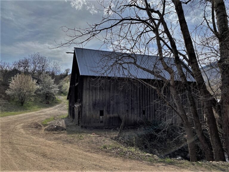 Idaho farm field and barn